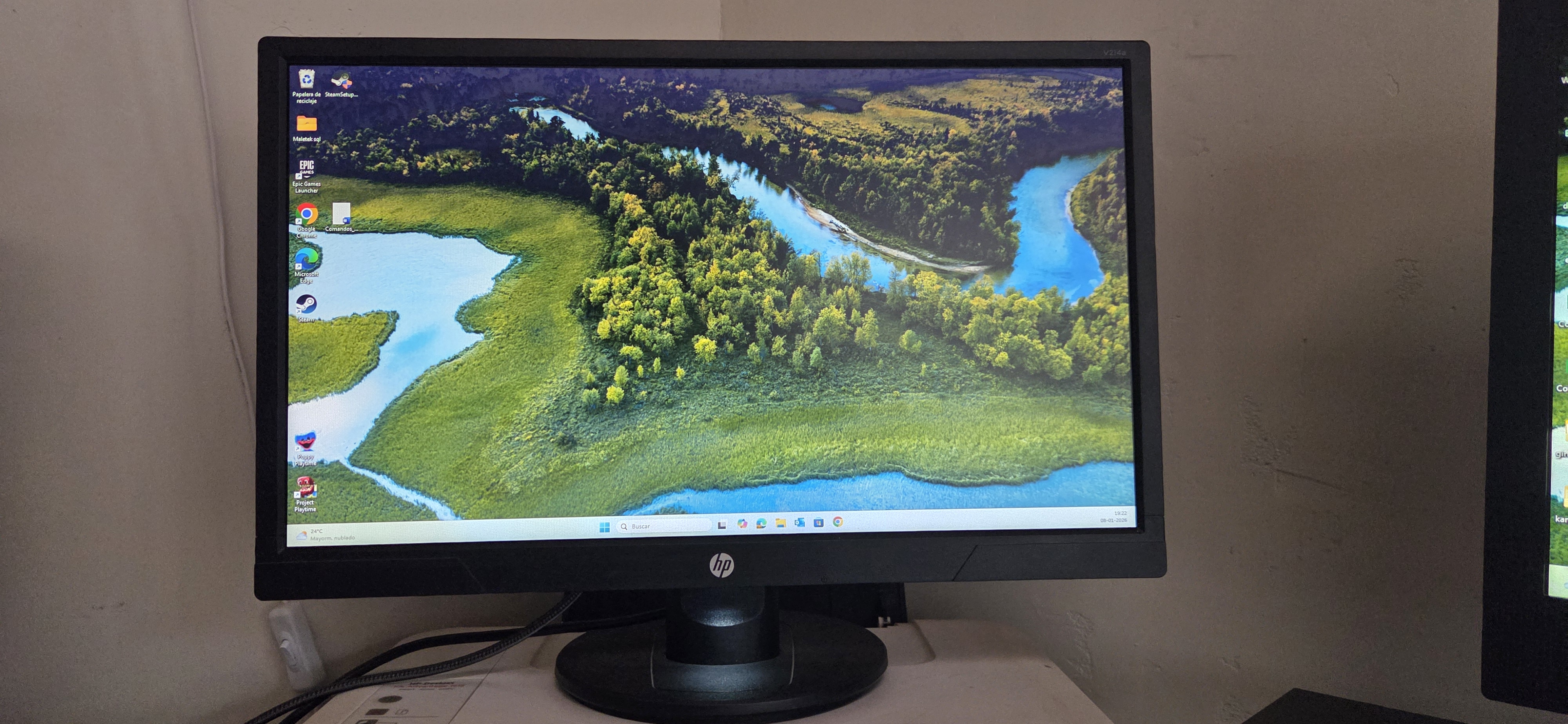 Monitor hp v214
